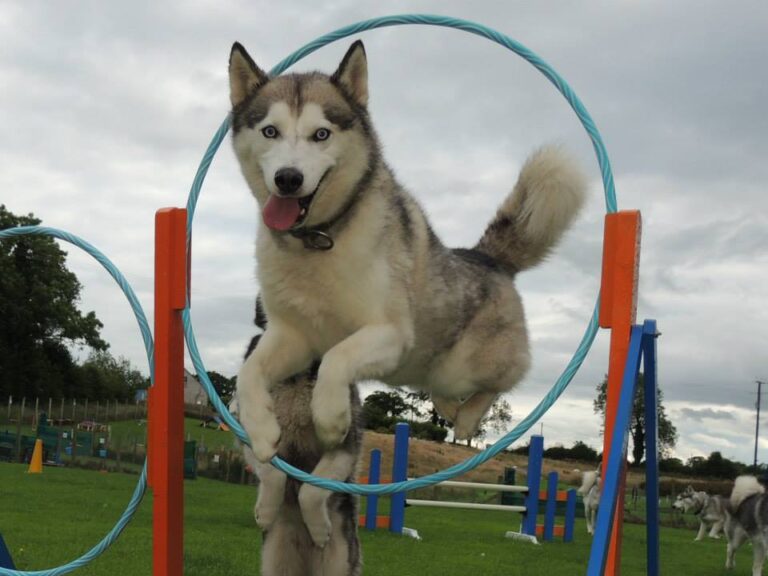 1034 db47779389953e310601cc08716abcdc 1 768x576