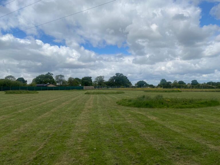 1035 fe531627765aa6b28773a3678e3d6539 1 768x576