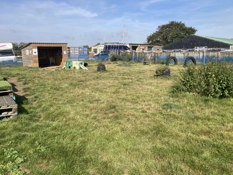 1048 139e5d4504c44a5dac955b360ddaf0d9 1 768x576