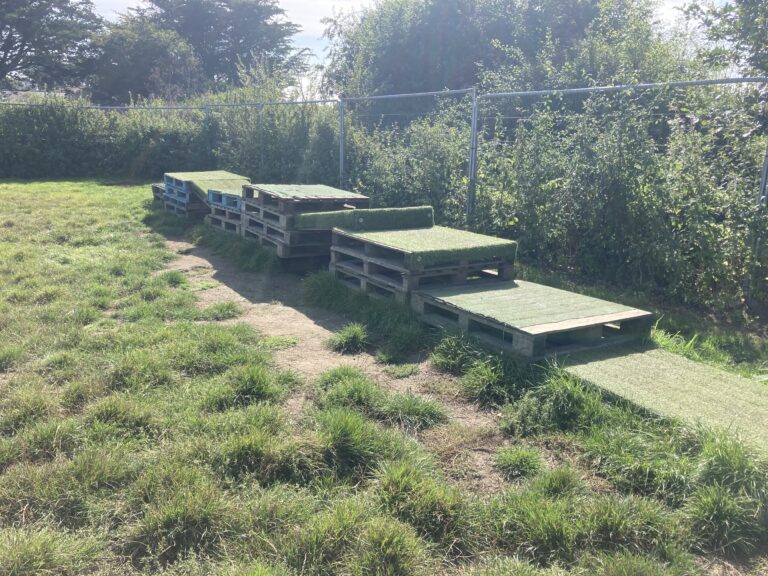 1048 2b35575be33aa45f7534086efd35ea14 1 768x576