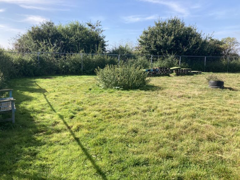 1048 314c831365ace0938ee1c13bcc7950b2 1 768x576