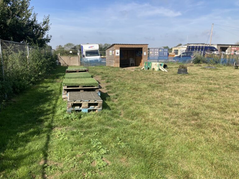 1048 4014818c03aad83827bacc31bd9302a5 1 768x576