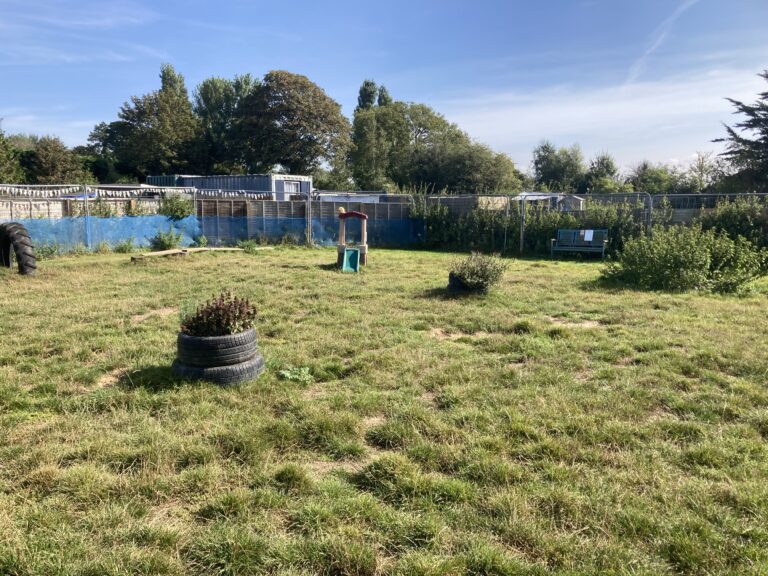 1048 75d2d7bf581d6149fe2aba2c7deb4d8a 1 768x576