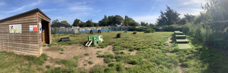 1048 9068ca1ee844d0d1ae50243789c2ca30 1 768x248