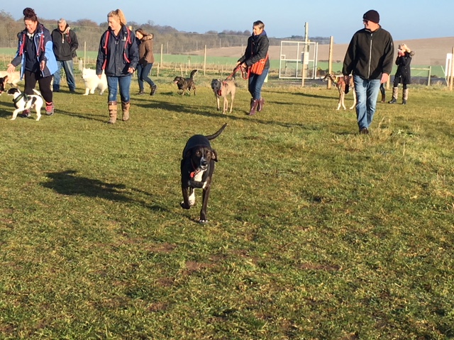 1050 37af82f3251a86174e1102d478c3672e 1