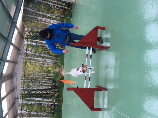 1050 6c39952b88f2f32d0f288206e47f066f 1