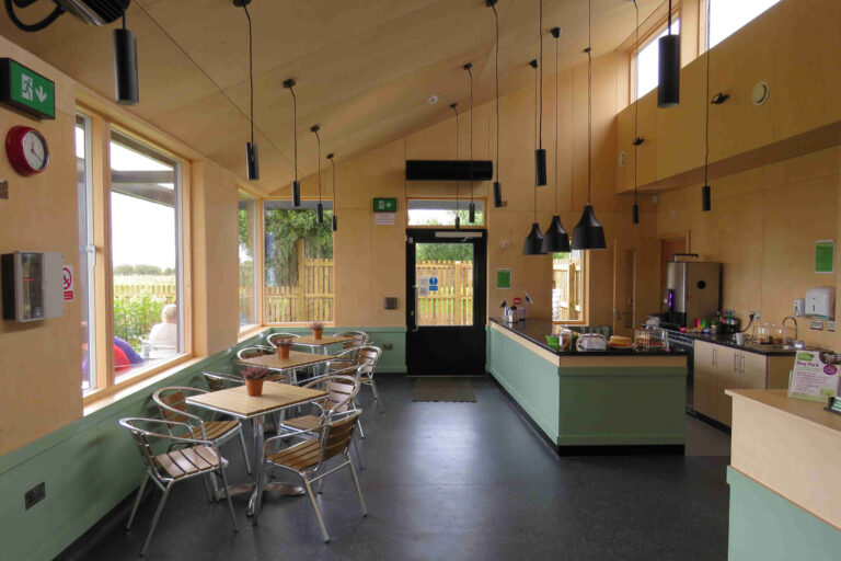 1050 ed2c92c973ae7bc84e26873e63e92b1b 1 768x512