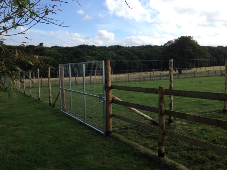 1051 0441cd06a9161a050e85e7a9bb3e2533 1 768x576