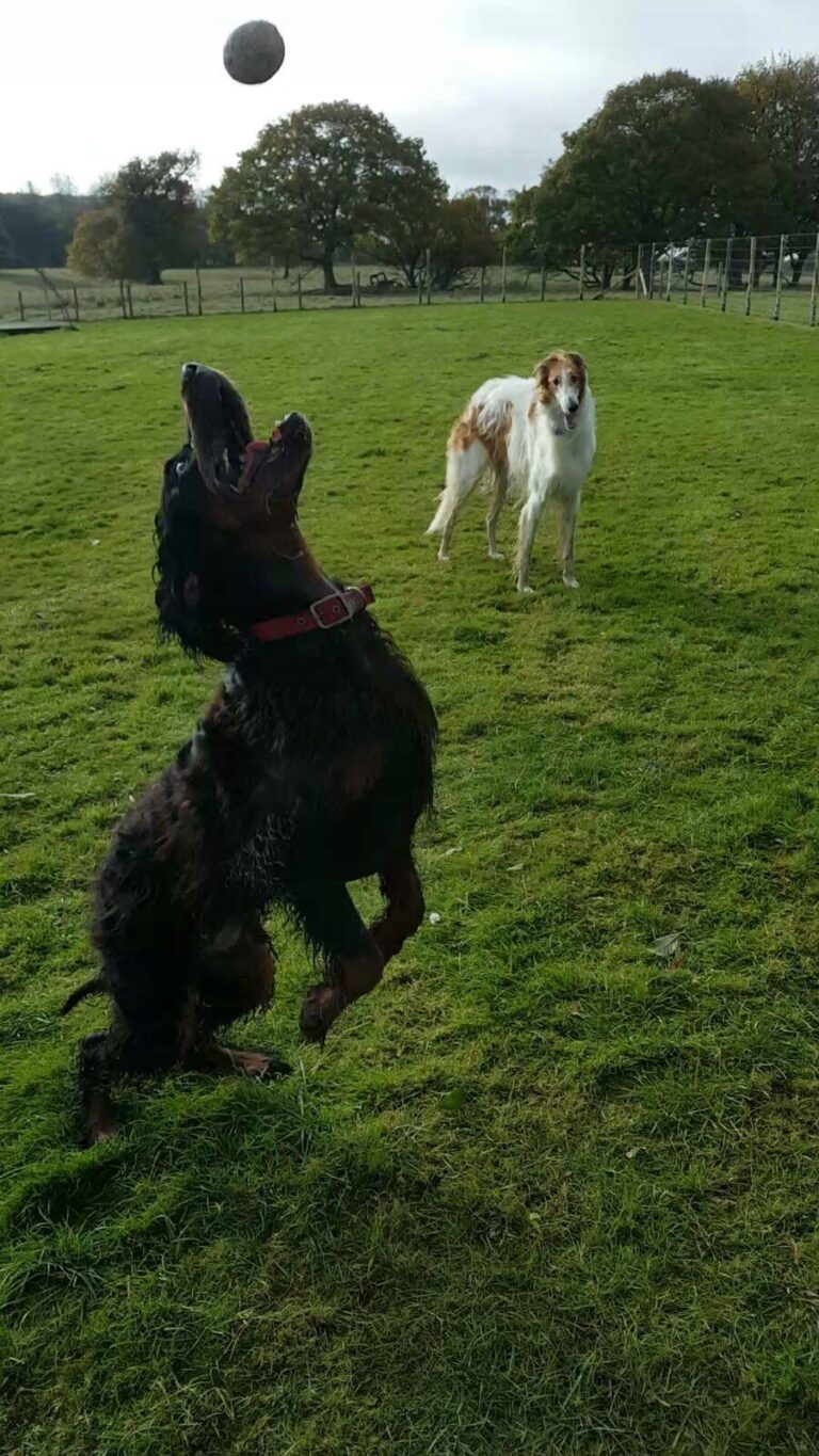 1051 09a32380b396bd84a0536fe48a72683e 1 768x1365