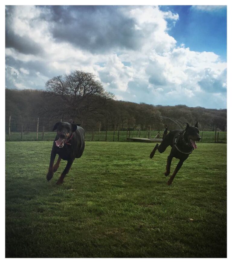 1051 13e89a8ed3e53659c26da08f0d25149b 1 768x869