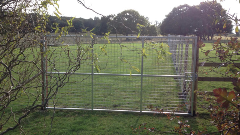 1051 2e486ba2755df86b2ae78942593035bf 1 768x432