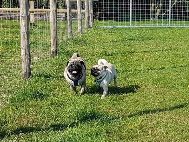 1051 a3d7c405909838b78c588211f4c4ff7e 1