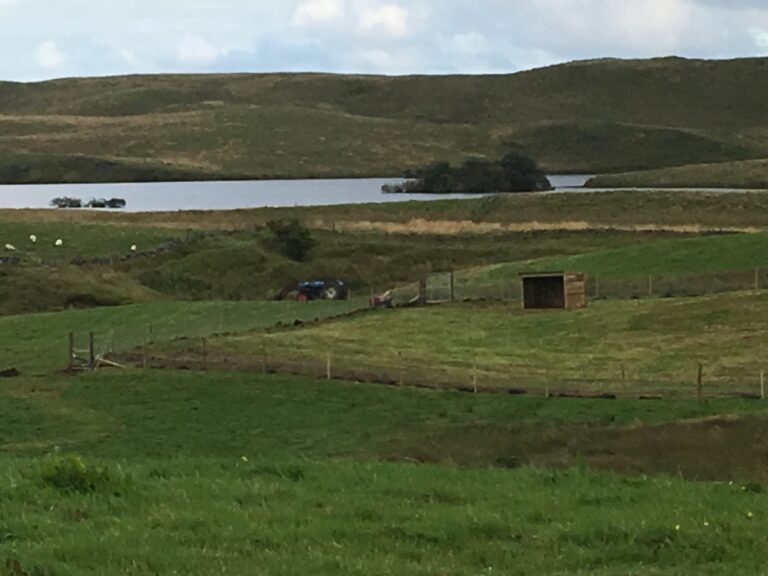 1060 6e9543db1420e3c165d5642e270a9567 1 scaled 768x576