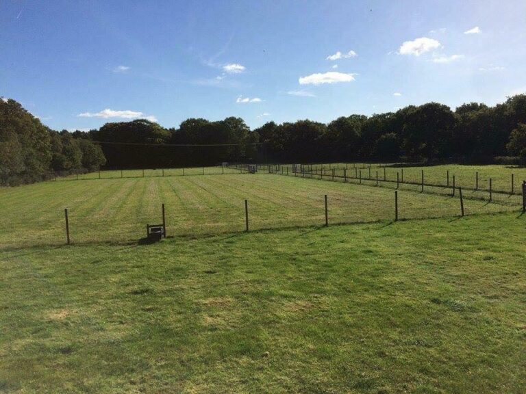 1061 18fda402e3511f0eea92f6c0cf8a806c 1 768x576