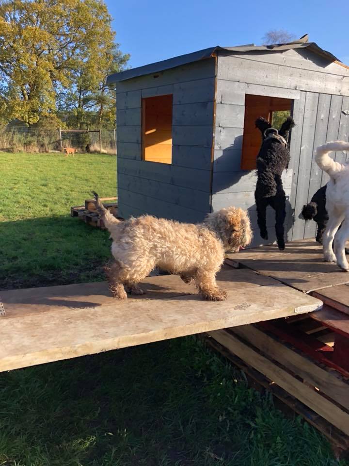 1061 a0eb3e141ff0175d2eb7d7451a288cd7 1