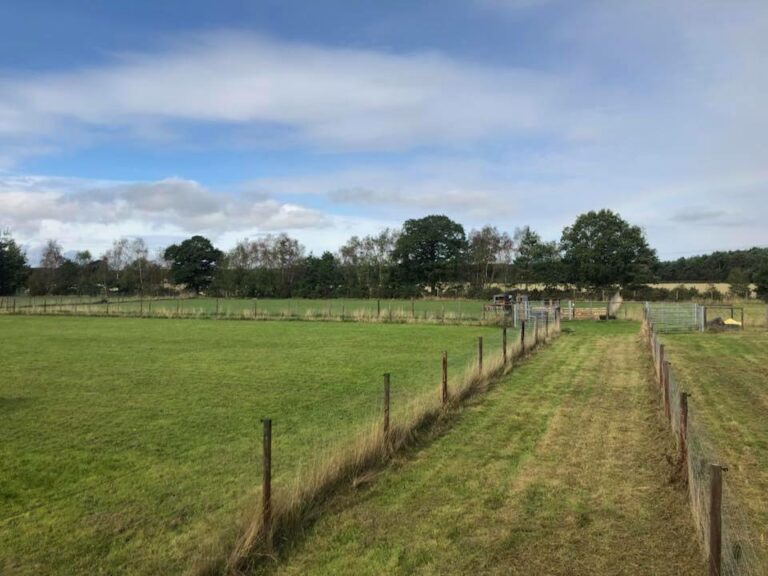 1061 f46e48595b8bd4da38c5b7dec0dfaea5 1 768x576