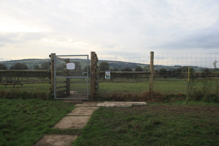 1062 e4e5a69f9896a809865ed9c96c8d836e 1 scaled 768x513