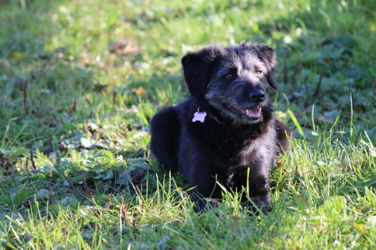 1065 075f8360e6a2ce1ba03a1380b2b34dec 1 768x512