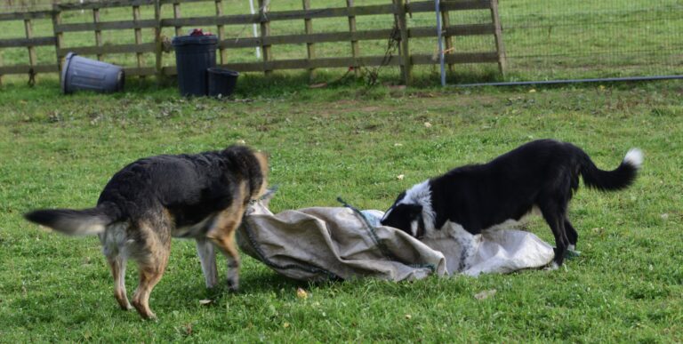 1065 49b4a818896d1db71ca0da0949a92146 1 768x387