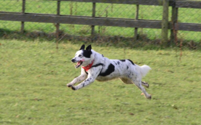 1065 814a58886a54b25e28f765cc4d87f475 1 768x480