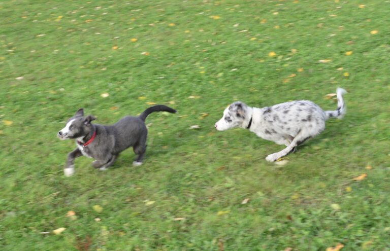 1065 e321d7892bc7060f32766eda61a86cfb 1 768x495