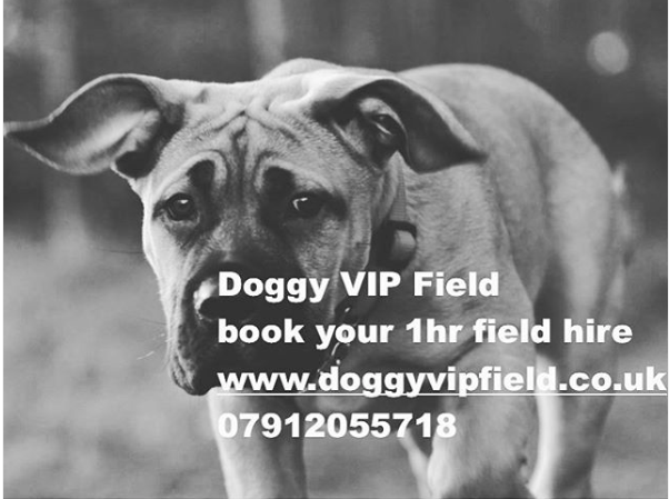 1067 98fefdae173de448687f45b45cb71ba1 1