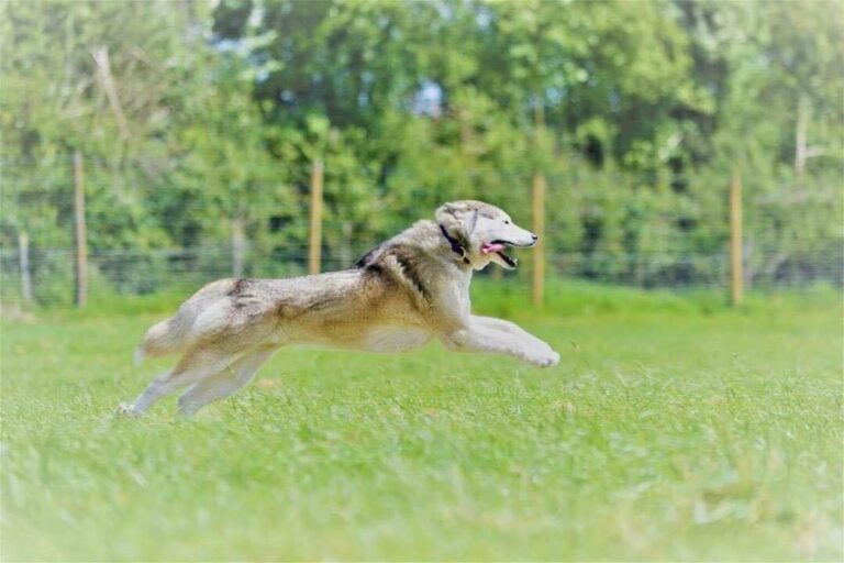 1073 b608432c4a598f8475c3090e24868b6f 1 768x512