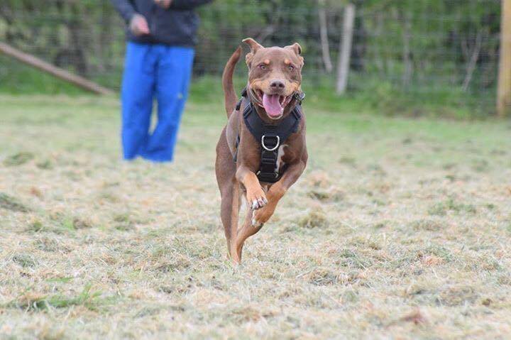 1073 b8326cddf505c98c14fb50afd2053fee 1