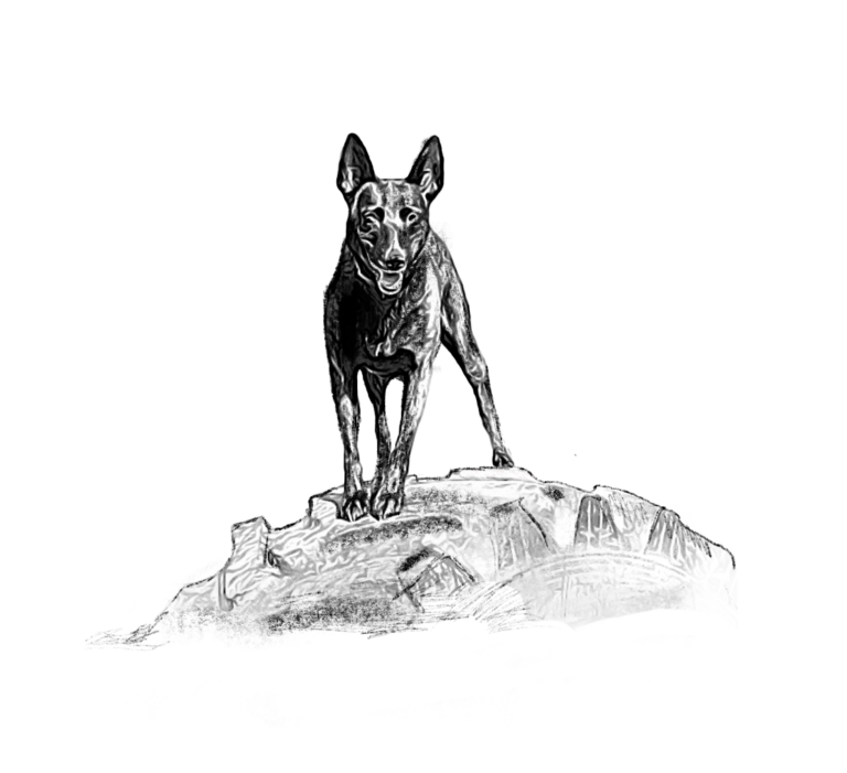 1073 f0a2fa92783ccd03cc24b0ba8cb1a1f0 1 768x701