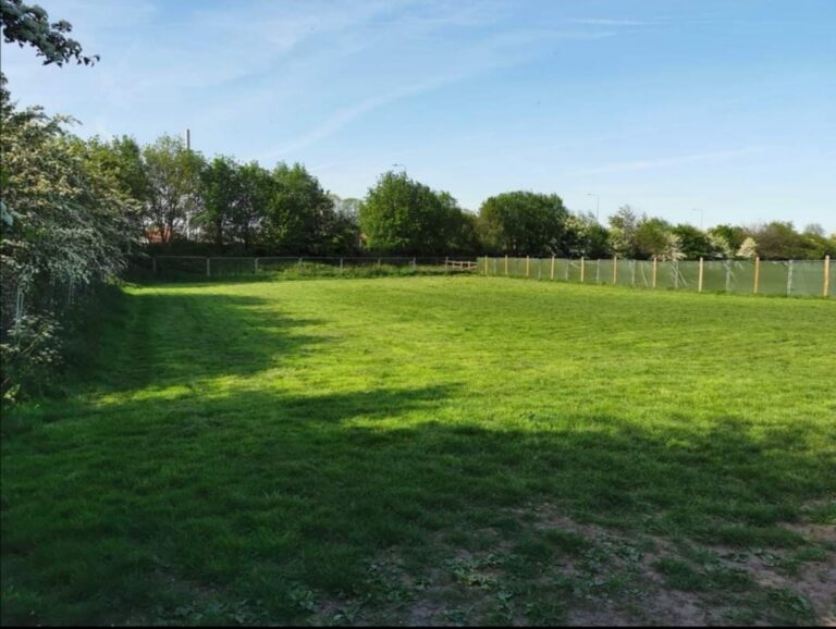 1074 d94a29bffc3ea6b568862c2cd7ffe922 1 768x578