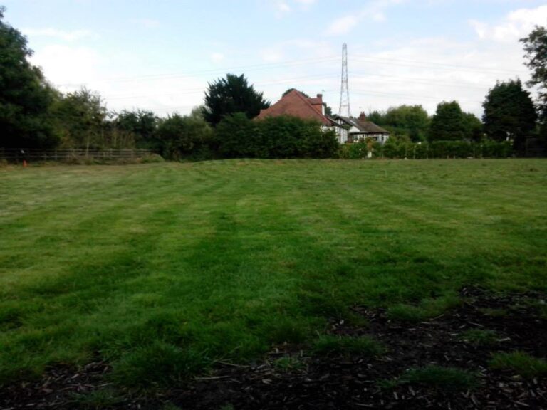 1077 1780d7c3a684c82372b88509ad5ed69a 1 768x576