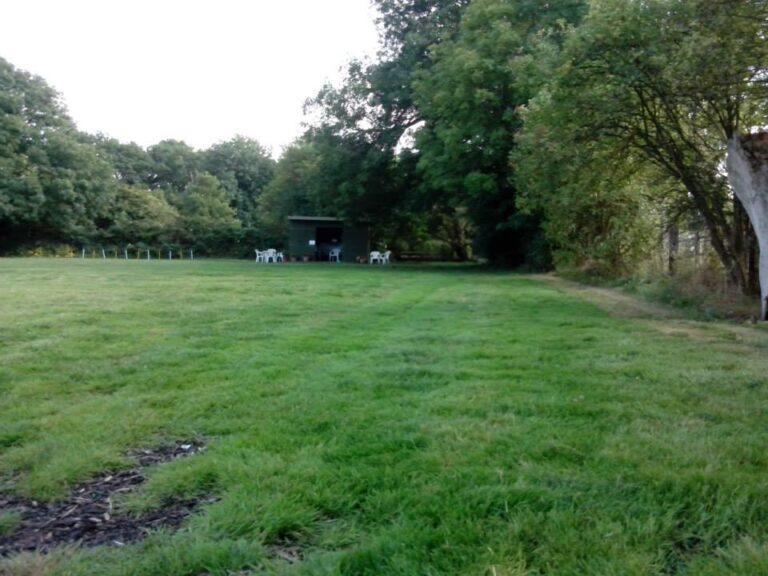 1077 40e2ec2deb1be9b65d7513c64eee4381 1 768x576