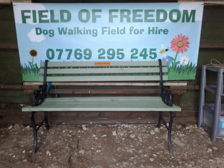 1077 b4cc8188cc901e187048e5080ca18754 1 768x576