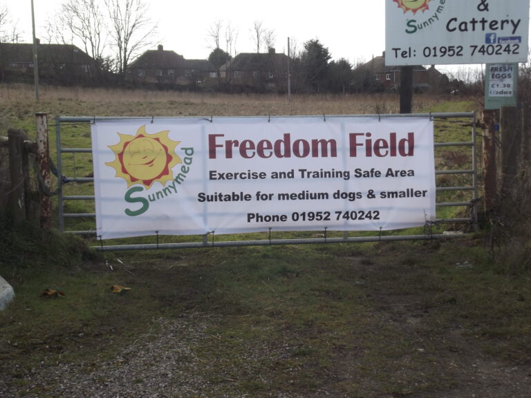 1080 1850e08fde33cd473e2eb627cee3e3e7 1 scaled 768x576