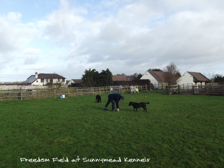 1080 dd377d752a526e56a9b0bdd4fc5ae30e 1 768x576