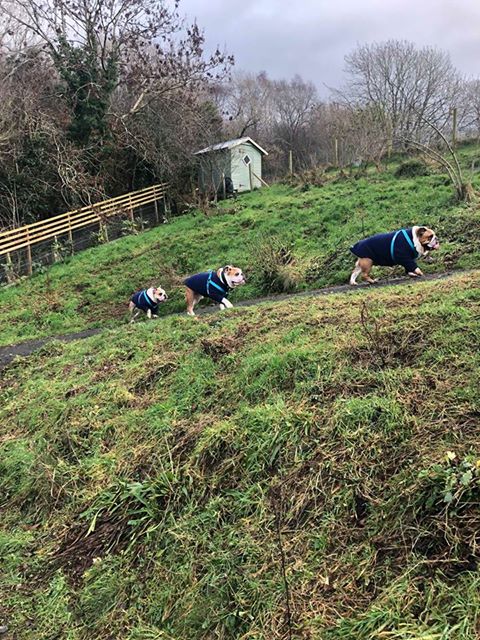 1084 17e40381a84ff97cbe79f07a7b1437c2 1