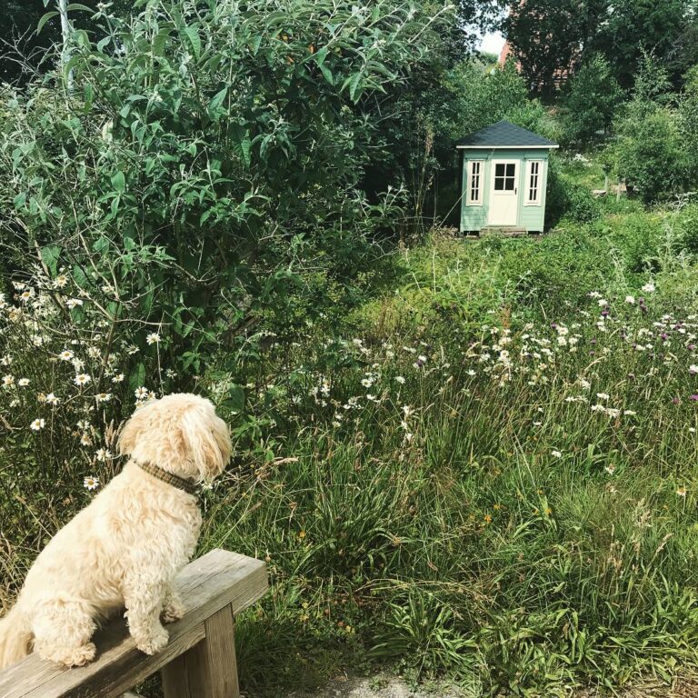 1084 1d45fedb9da216086b054b535f847bbc 1 768x768