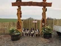 1084 286674da539486296657c2dc936c6a51 1