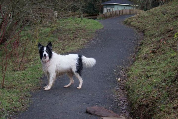 1084 348758f57705518f542cb3bbfab3c246 1