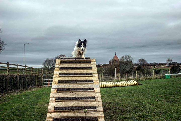 1084 407dd175f2045b6ebf2f3392ac6b8a69 1