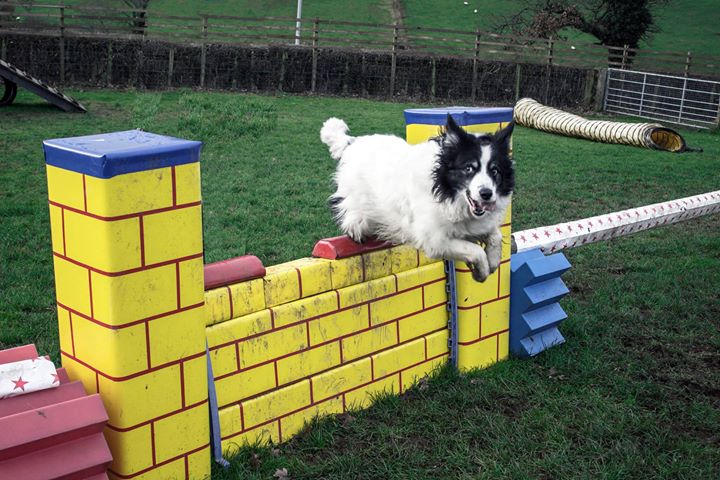 1084 5269bc324bc7f28fc3e52e3966d6266f 1