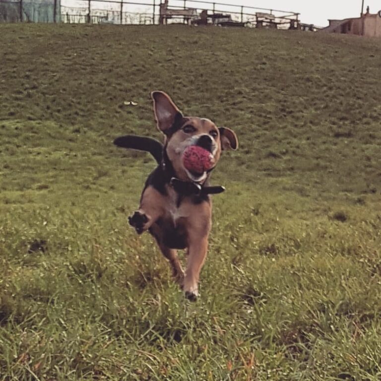 1084 8f5101f0acd8675643d572ccc0a7ef9b 1 768x768