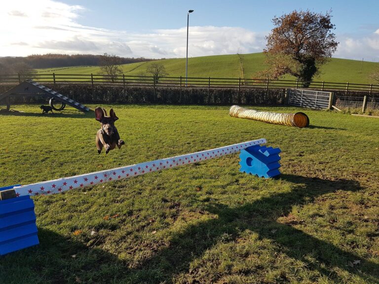 1084 9a98d4ab1d0fe3ebd5749994ea80af90 1 768x576