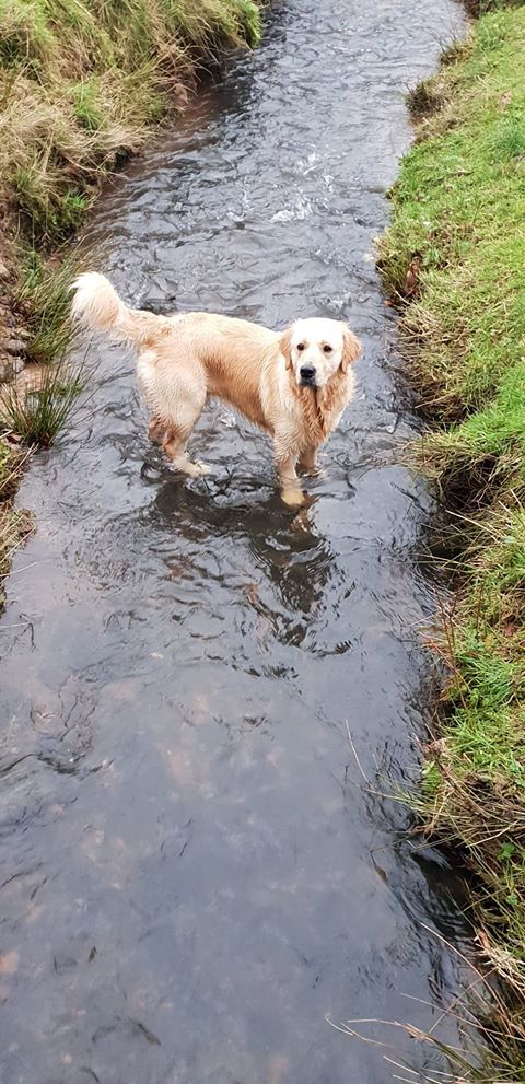 1084 bed896941a0d63265f38046e57b1a596 1