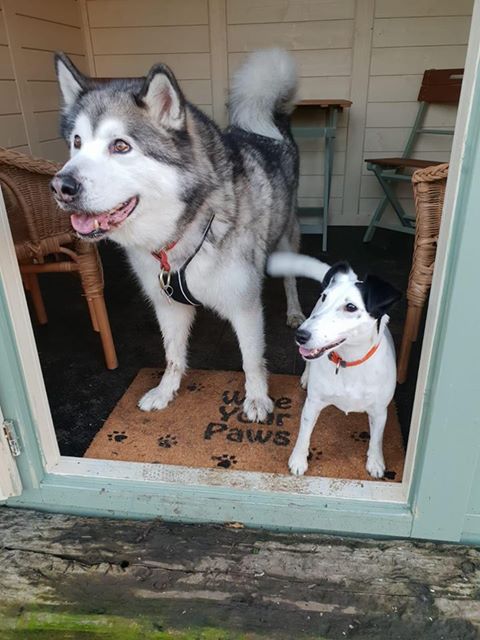 1084 c58cf7ca9c347fed1aac8f5191c95a8f 1