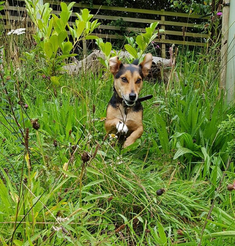 1084 d9458c978f7f4d2bad084e0c100e5f98 1 768x804