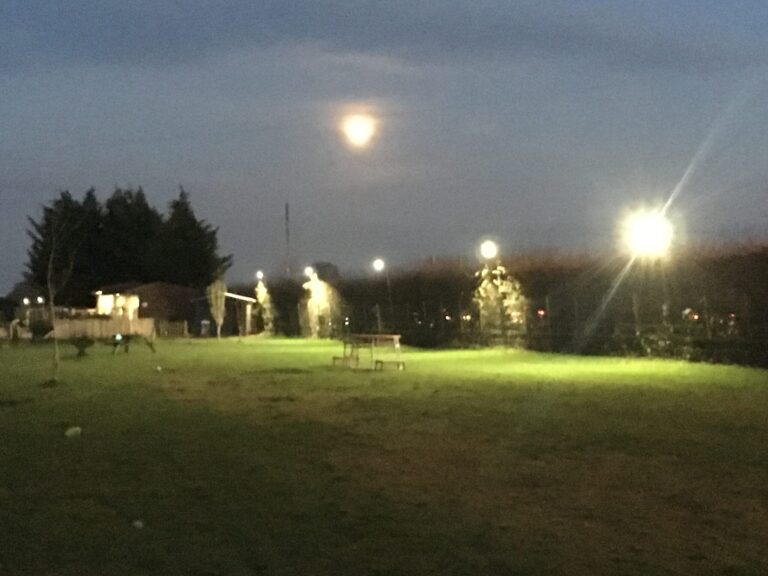 1085 c75909aad6e56d46e9e545a211d0da18 1 scaled 768x576