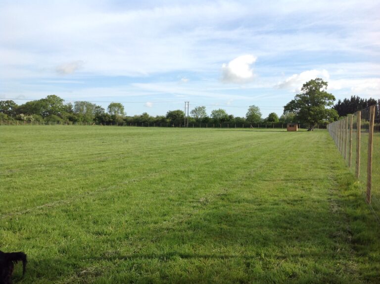 1089 a912cb3b0b86c48d676b8335de52e00a 1 scaled 768x574