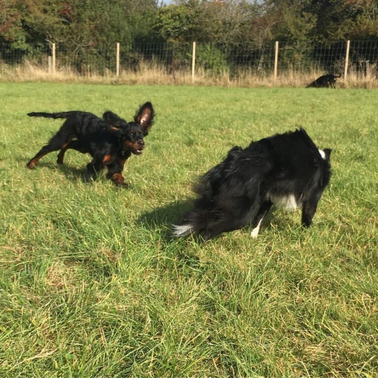 1089 e551f2a5ccbc312267a488ba5e5335eb 1 768x768