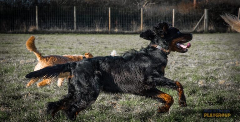 1089 f861e1d6ee131e0cfa44f794c1d2822b 1 768x393